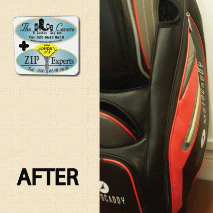 MOTOCADDY Pro Series many loose teeth re-attached - Image 3